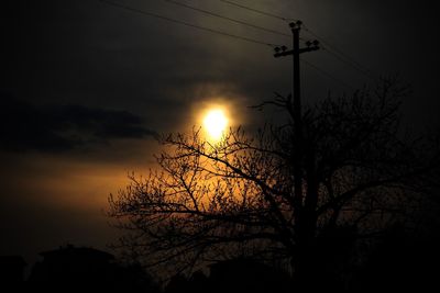 Low angle view of silhouette tree against sky during sunset