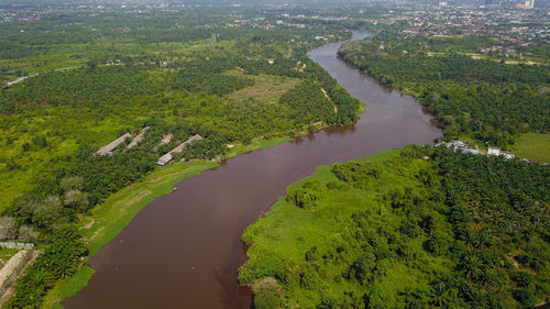 High angle view of river amidst trees