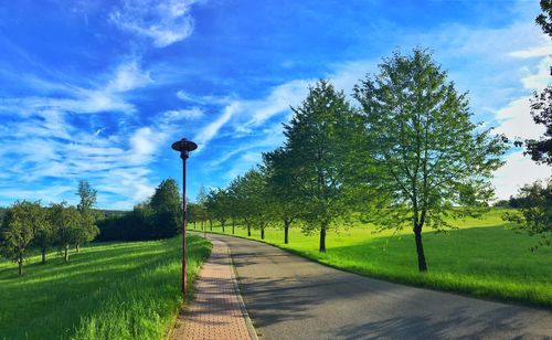 Road by trees on field against sky