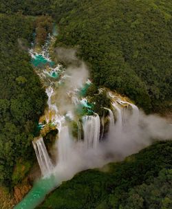 Aerial view of waterfall in forest