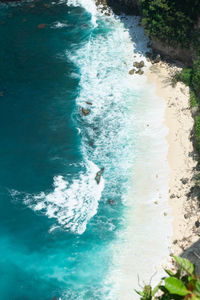 Aerial view of beach