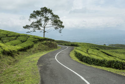 Scenic view of road amidst field against sky