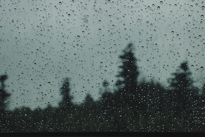 Full frame shot of wet glass window