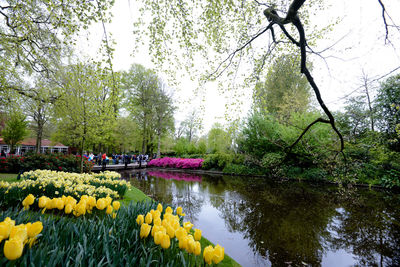 Scenic view of park against sky