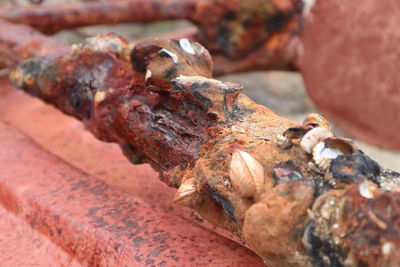 Detail shot of rusty metal