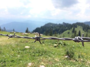 Close-up of barbed wire fence