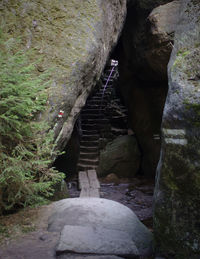 Narrow pathway along rocks and trees in forest