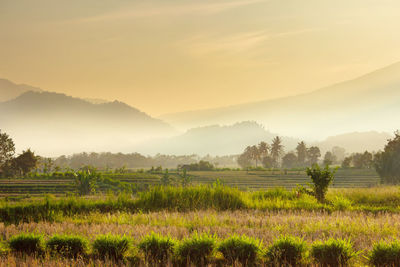 Natural landscape with mountains in the morning and sunshine at sunrise in indonesia