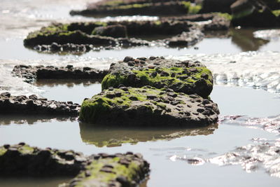 Close-up of rocks in lake
