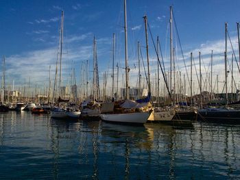 Sailboats in sea