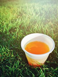 High angle view of orange tea on field