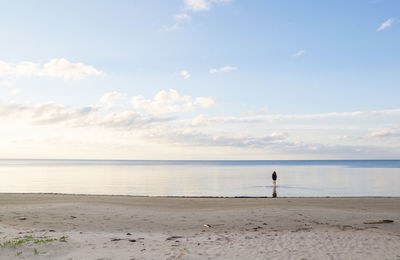 Rear view of woman at beach against sky