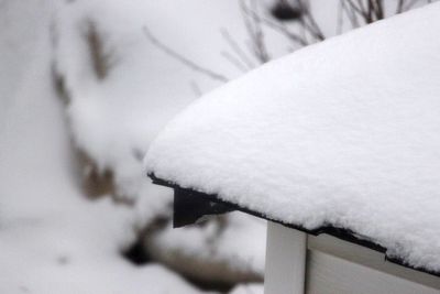 Close-up of snow