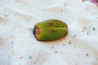 High angle view of green lemon on table