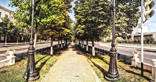 Walkway amidst trees against sky