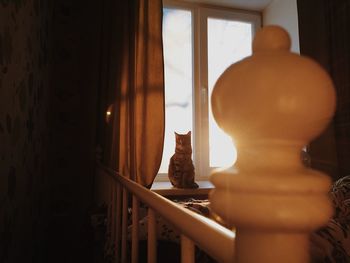 Close-up of statue against illuminated window