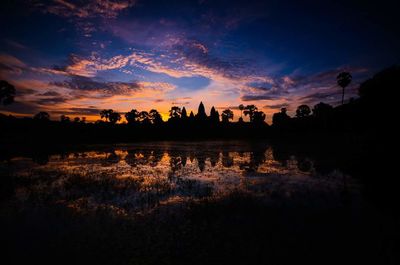 Silhouette of trees at sunset