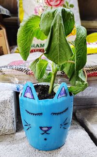 Close-up of potted plant on table