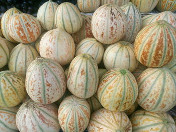 High angle view of muskmelons for sale