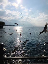 Birds flying over beach against sky during sunset