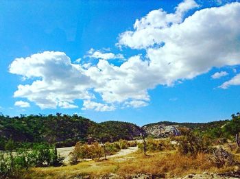 Scenic view of field against blue sky