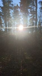 Scenic view of trees against sky