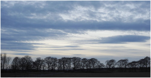 Silhouette trees on field against sky