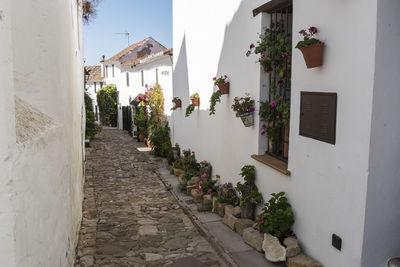 Footpath amidst buildings in city