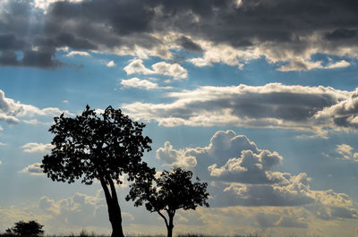 Low angle view of silhouette tree against sky
