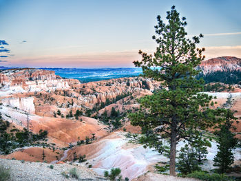 Scenic view of landscape and mountains against sky