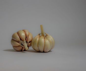 Close-up of bread against black background