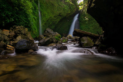 Scenic view of waterfall in forest