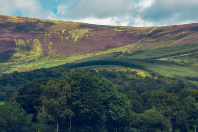 Scenic view of landscape against sky