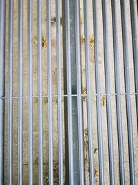 Full frame shot of bamboo