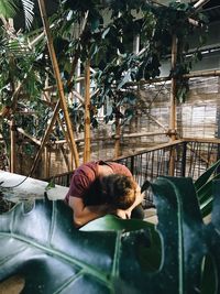 Full length of young man sleeping on plant