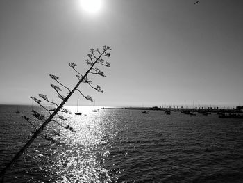 Scenic view of sea against clear sky on sunny day