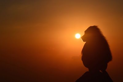 Silhouette monkey sitting on rock against sky during sunset