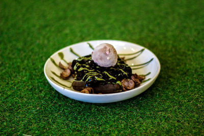 High angle view of plants in plate on table