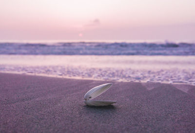 Close-up of water on beach against sky during sunset