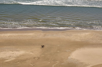 High angle view of beach