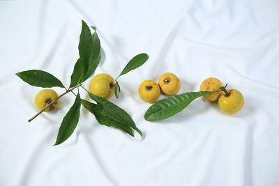 High angle view of fruits on white plate