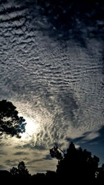 Low angle view of silhouette trees against sky