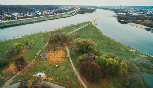 Plant growing in water
