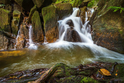 Scenic view of waterfall in forest