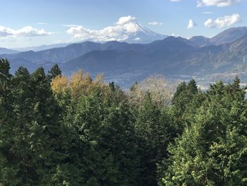 Scenic view of tree mountains against sky