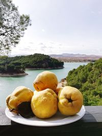 Fruits on table by lake against sky