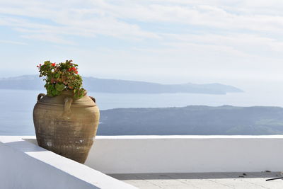 Potted plant by sea against sky