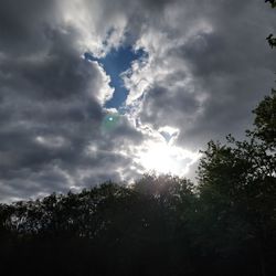 Low angle view of sunlight streaming through silhouette trees