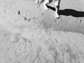 Low section of child at beach