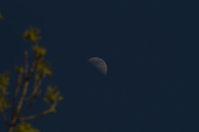 Low angle view of moon against clear sky at night